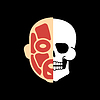ID 6744253 | Skull and Muscular face anatomy. Bones and muscles | Stock Vector Graphics ID 6744253 | Skull and Muscular face anatomy. Bones and muscles | Stock Vector Graphics | CLIPARTO